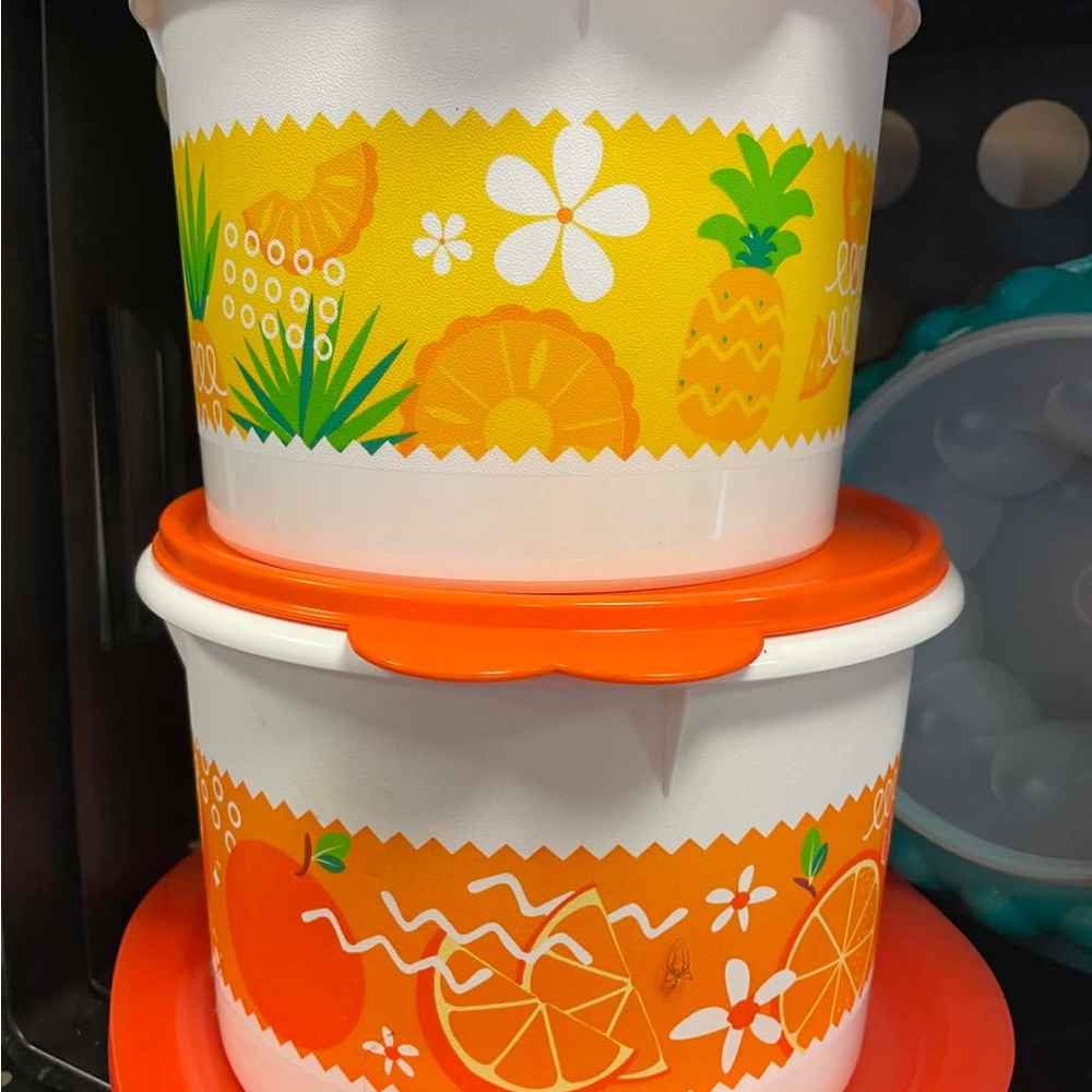 Tupperware Canisters in Citrus - set of 2